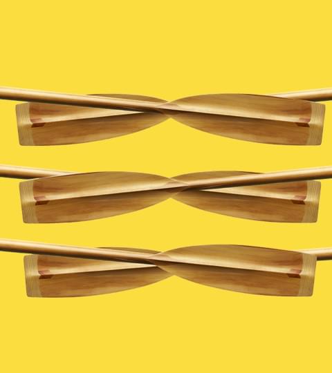oars on yellow background